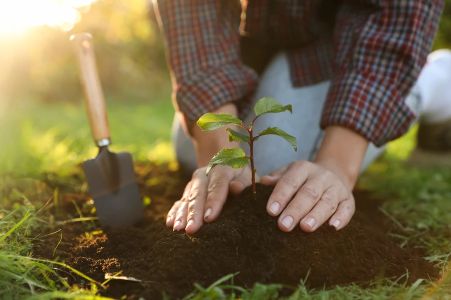 Dependable Landscaping Company