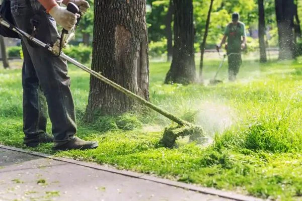 Lawn Care and Sod Installation