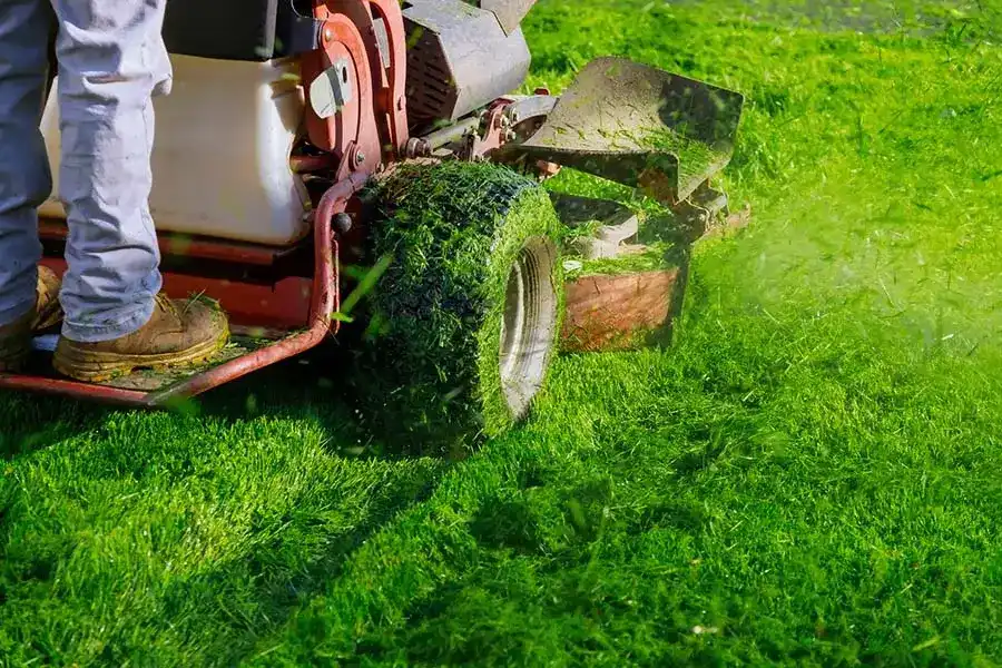 Professional Lawn Care