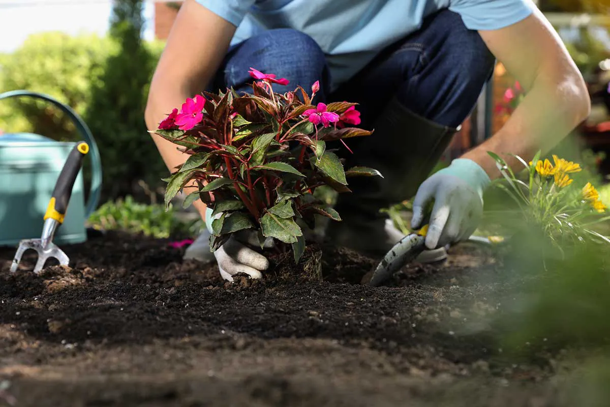 Reliable Landscaping Contractor